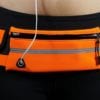 storage-belt-orange