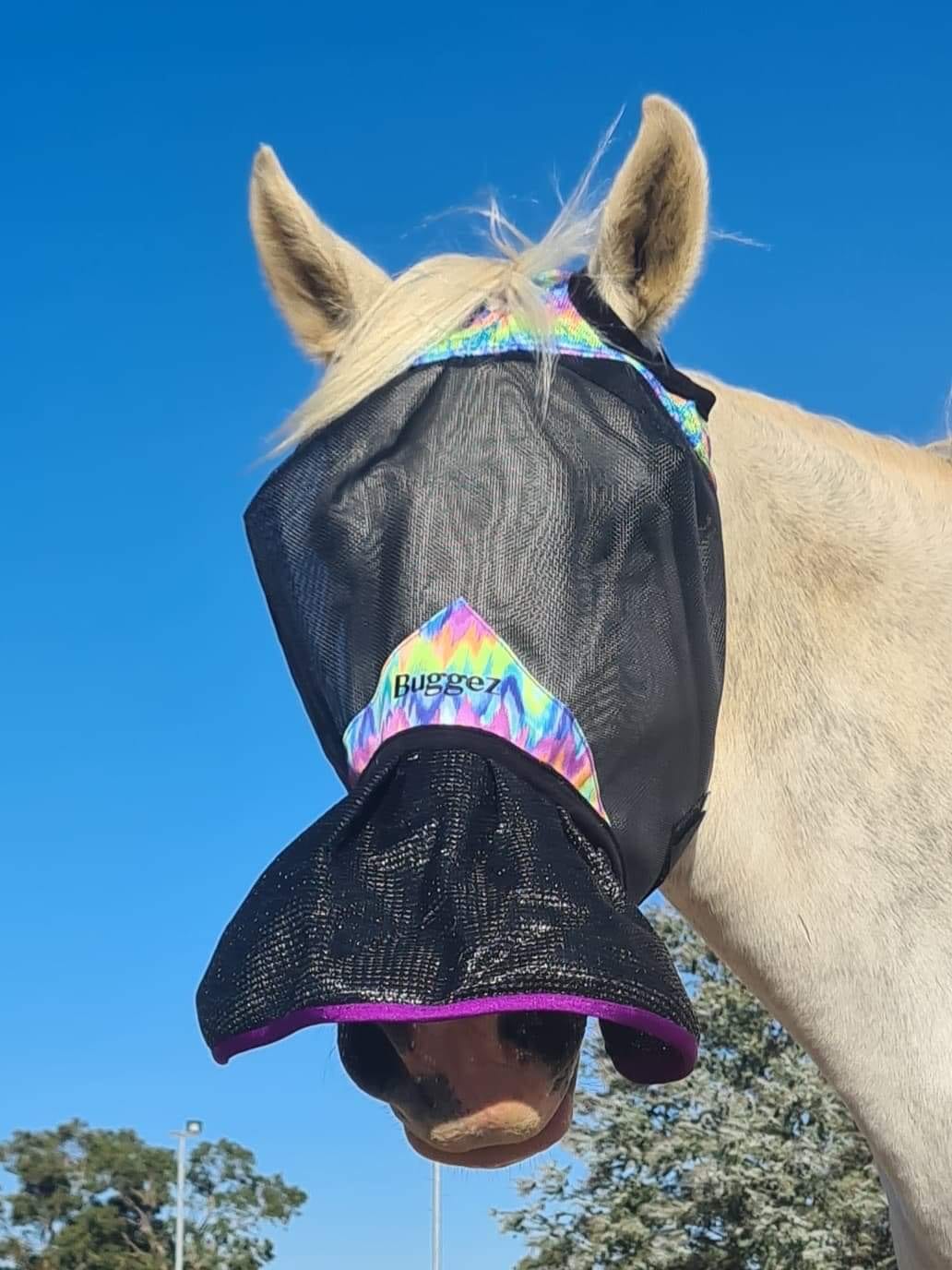 CHALLENGER Equine Horse Fly Mask Summer Spring Airflow Mesh UV Mosquitoes 73211 
