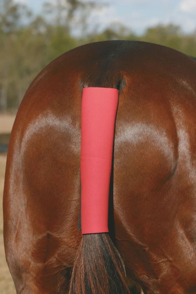 neoprene-tail-wrap-horse-protection