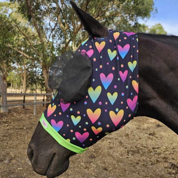 buggez-bugeyes-fly-mask-bright-hearts